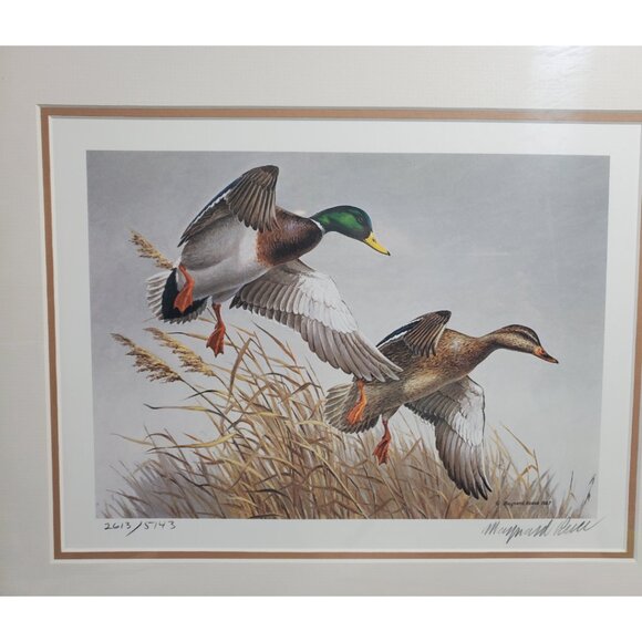 Maynard Reece 'Autumn Wings' Limited Edition Signed Print with 2 Stamps– Framed - Picture 3 of 10